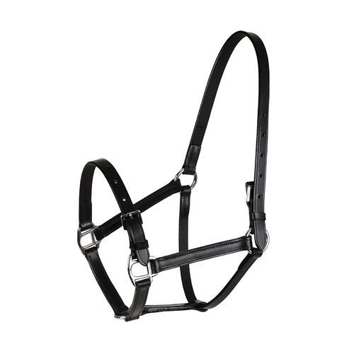 Small Pony or Foal Halter