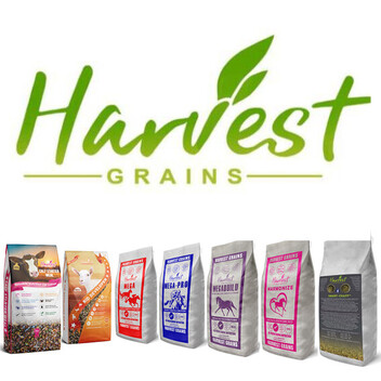 Harvest Grains